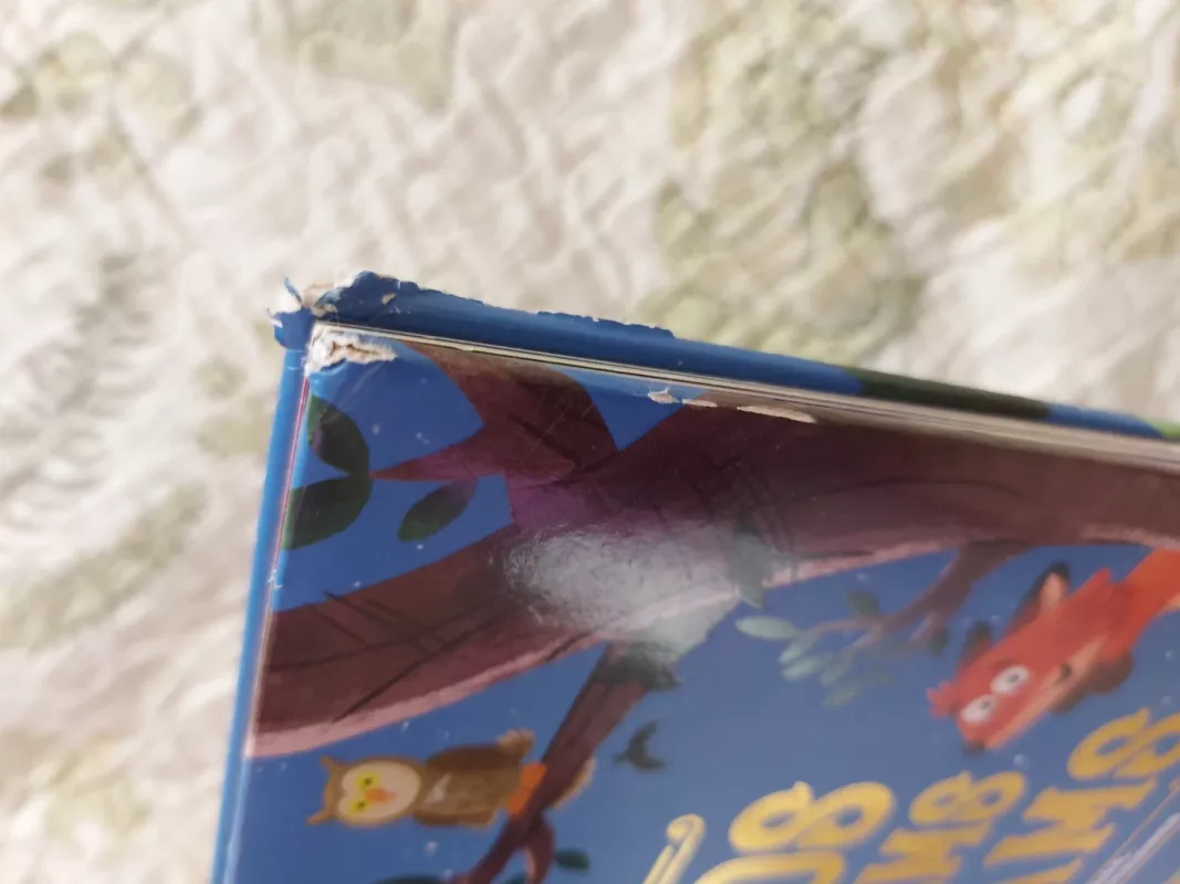 Istorijos mažiesiems herojams: 4 pasakojimai apie drąsą, pašėlusius nuotykius ir svajones - Daiva Krištopaitienė, knyga 4