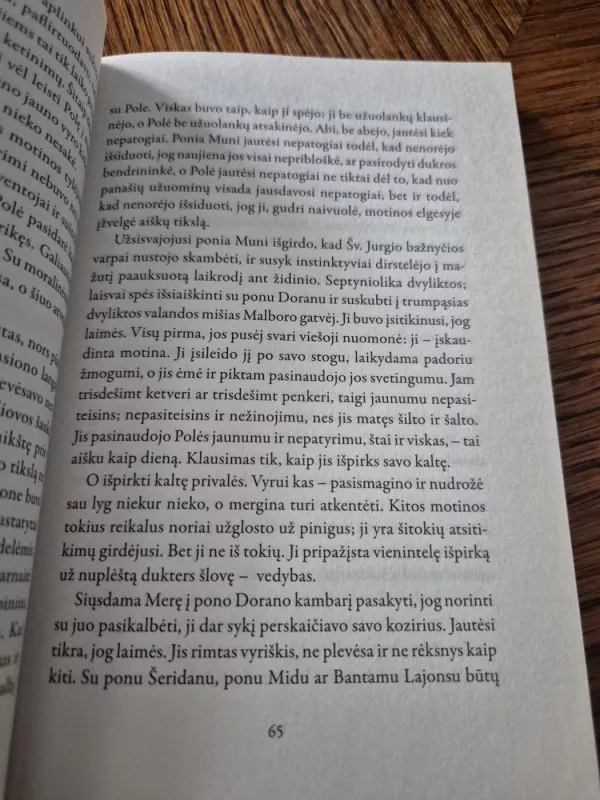 Dubliniečiai - James Joyce, knyga 6