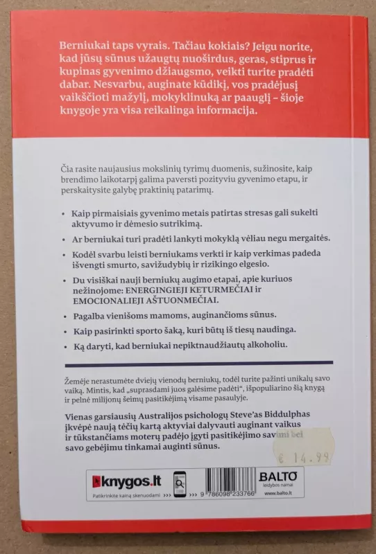 Kaip auginti berniukus XXI amžiuje - Steve Biddulph, knyga 3