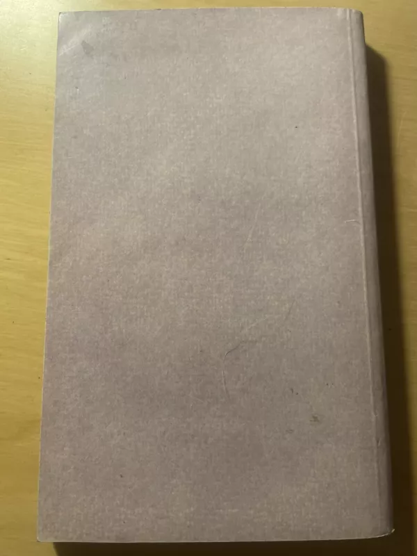 Fino Heklberio nuotykiai - Markas Tvenas, knyga 4