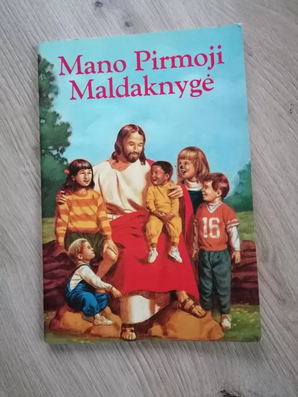 Mano pirmoji maldaknygė - Karen Cavanagh, knyga 2