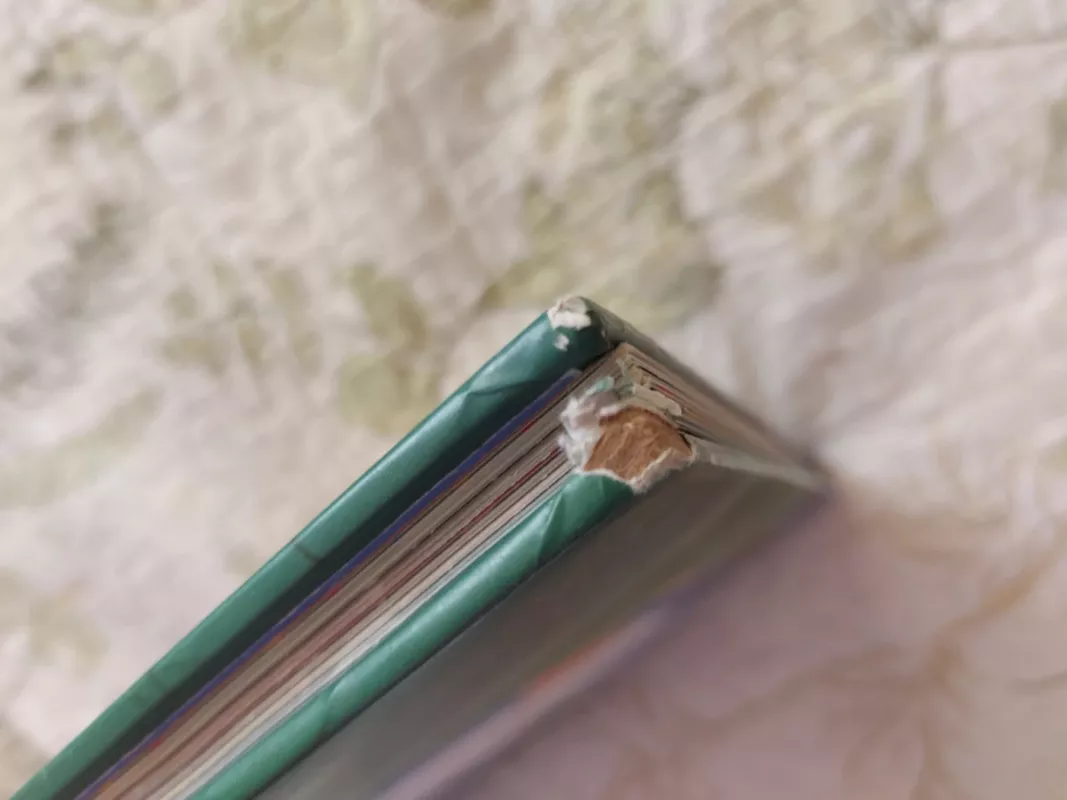 Istorijos mažiesiems herojams: 4 pasakojimai apie drąsą, pašėlusius nuotykius ir svajones - Daiva Krištopaitienė, knyga 3