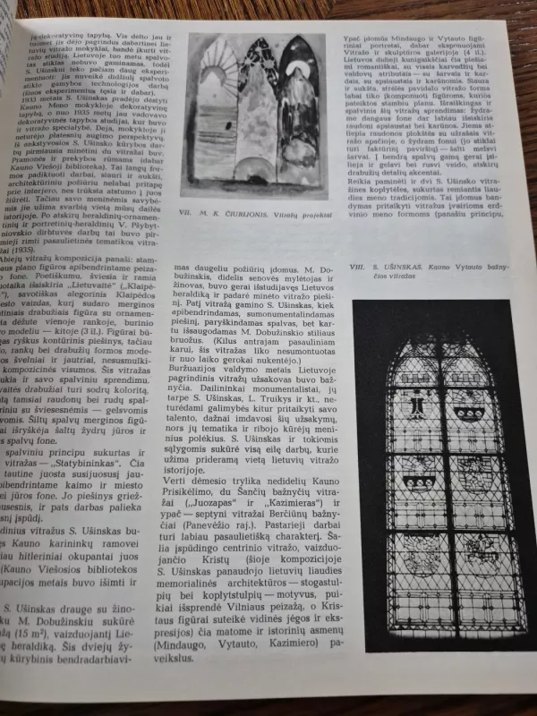 Lietuvių vitražas - S. Budrys, knyga 5