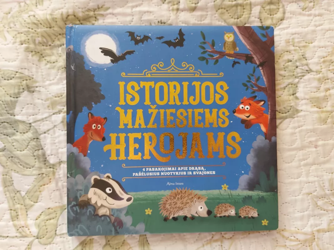 Istorijos mažiesiems herojams: 4 pasakojimai apie drąsą, pašėlusius nuotykius ir svajones - Daiva Krištopaitienė, knyga 2