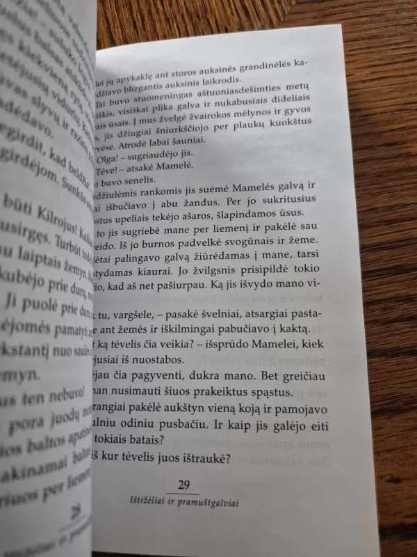 Ištižėliai ir pramuštgalviai - Ulf Stark, knyga 6