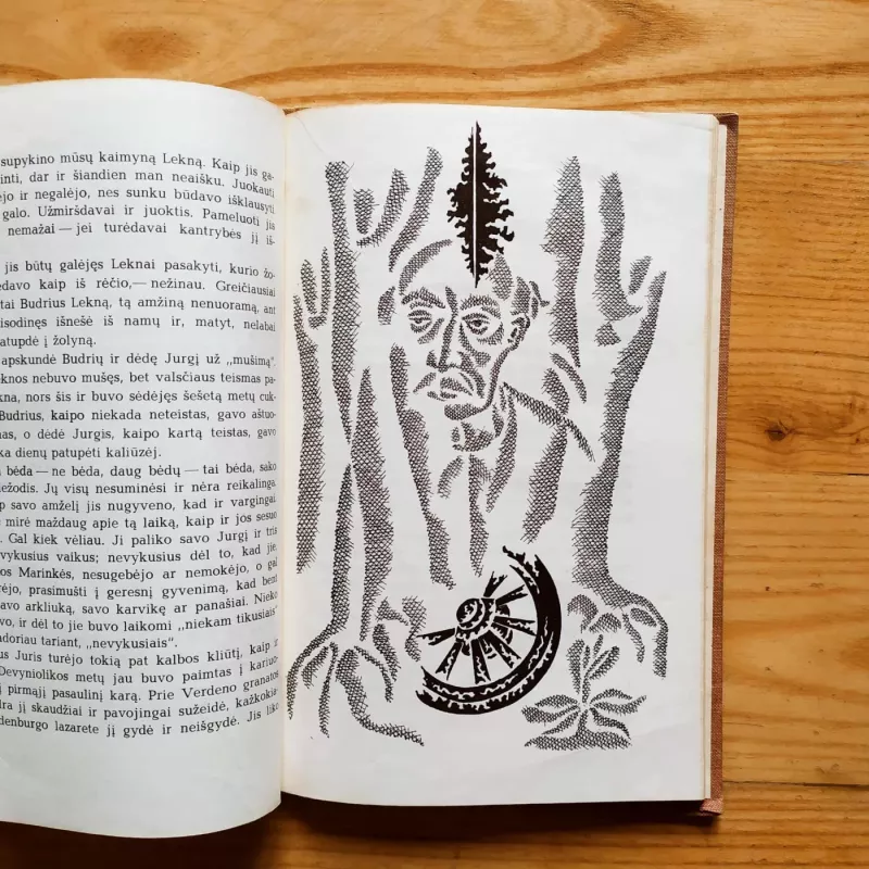 Gretimos istorijėlės - Ieva Simonaitytė, knyga 4