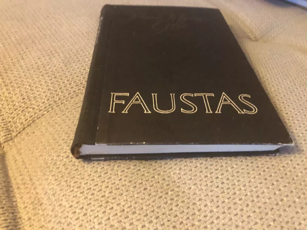 Faustas - Johanas Volfgangas Gėtė, knyga 4