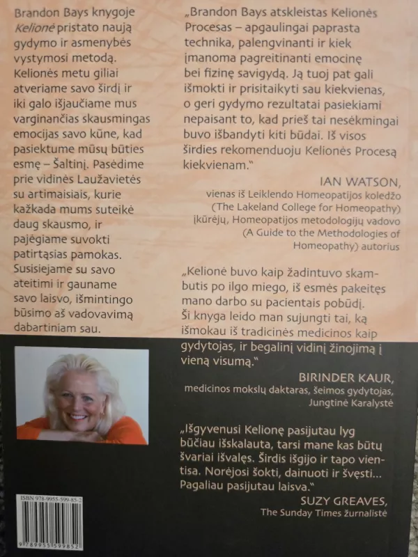 Brandon Bays Kelionė - Brandon Bays, knyga 3