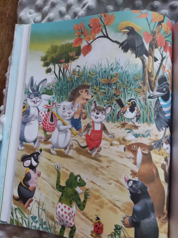 Didysis smaragdas - Robinzono sugrįžimas - Tony Wolf, knyga 4