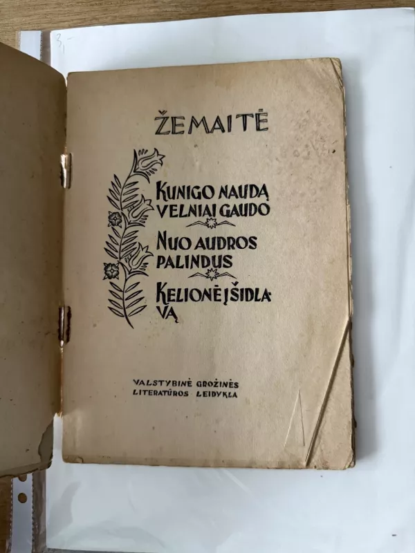 Kunigo naudą velniai gaudo, Nuo audros palindus, Kelionė į Šidlavą - Žemaitė, knyga 3