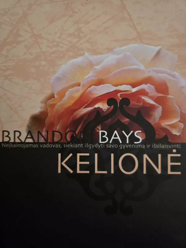 Brandon Bays Kelionė - Brandon Bays, knyga 2