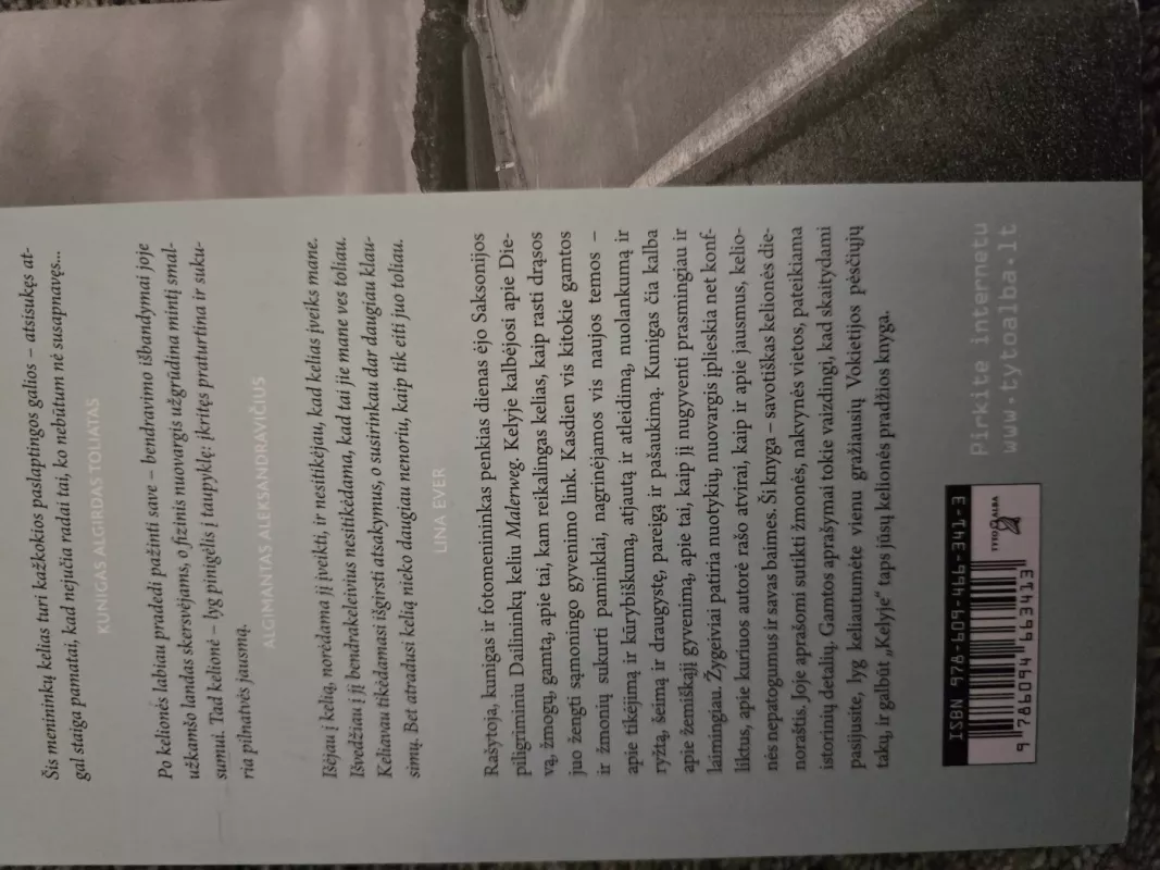 Kelyje. 100 000 žingsnių su kunigu Algirdu Toliatu - Lina Ever, knyga 3