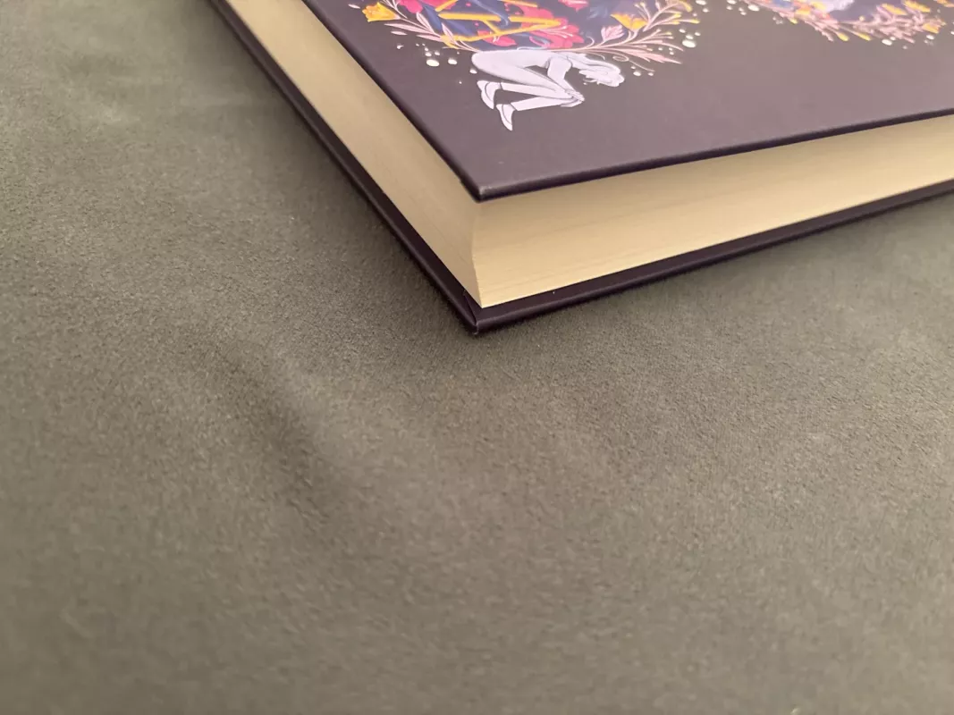 Visą šį laiką - Rachel Lippincott, Mikki Daughtry, Tobias Iaconis Lippincott, knyga 3