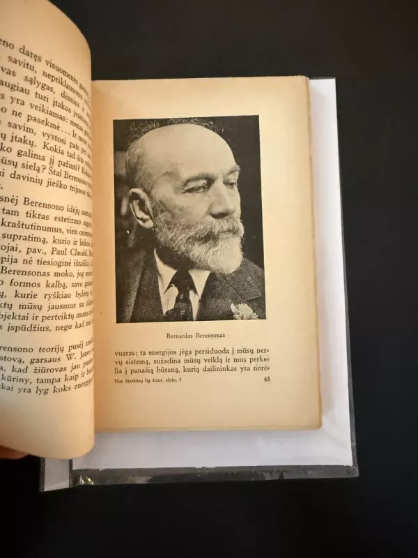 Nuo sirakūzų  lig šiaurės elnio - Antanas Vaičiulaitis, knyga 5