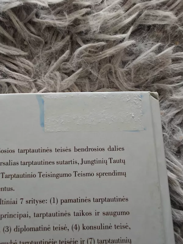 Tarptautinė teisė. Pagrindiniai dokumentai ir jurisprudencija - Vilenas Vadapalas, knyga 5