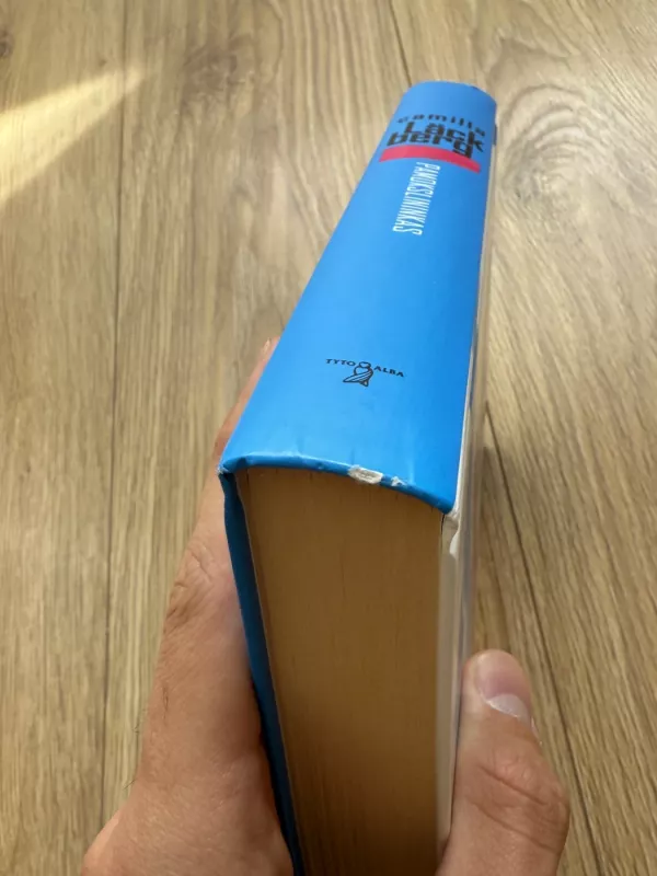 Pamokslininkas - Camilla Läckberg, knyga 2