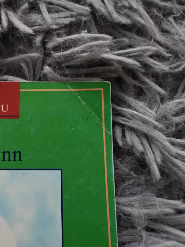 Vaikų piešinių paslaptys - Inger Brochmann, knyga 5