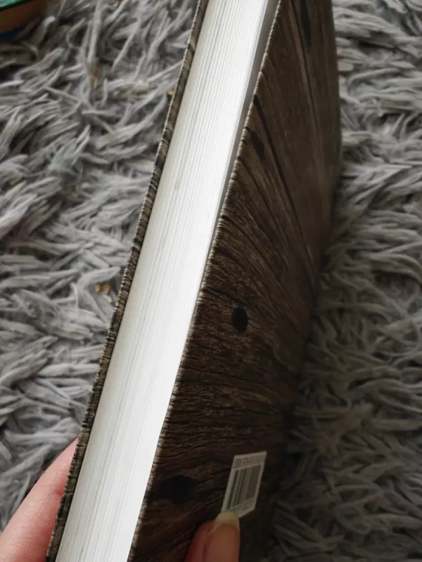 Tarptautinė teisinė pagalba baudžiamosiose bylose - Gintaras Švedas, knyga 3