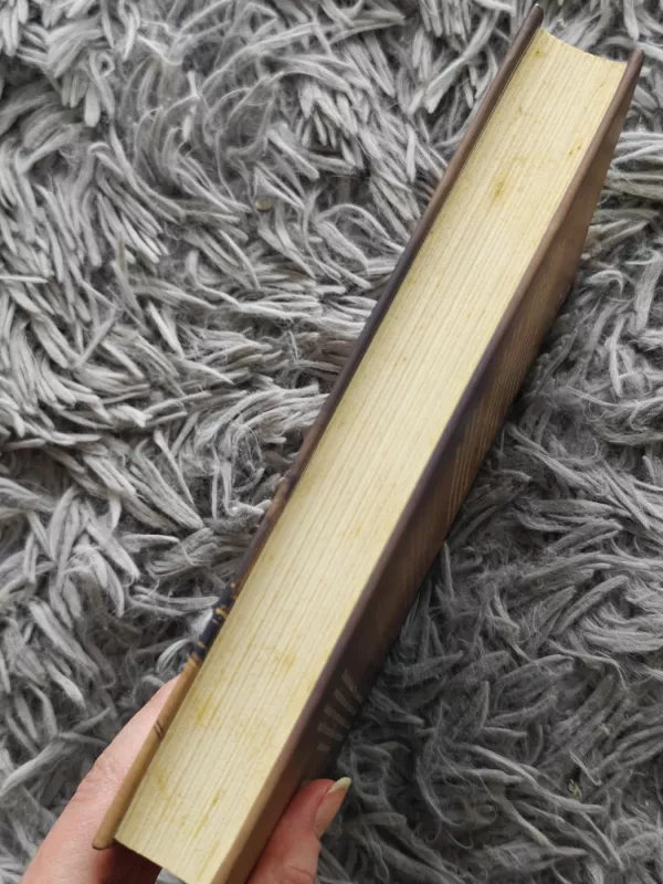 Nepakeliama būties lengvybė - Milan Kundera, knyga 4