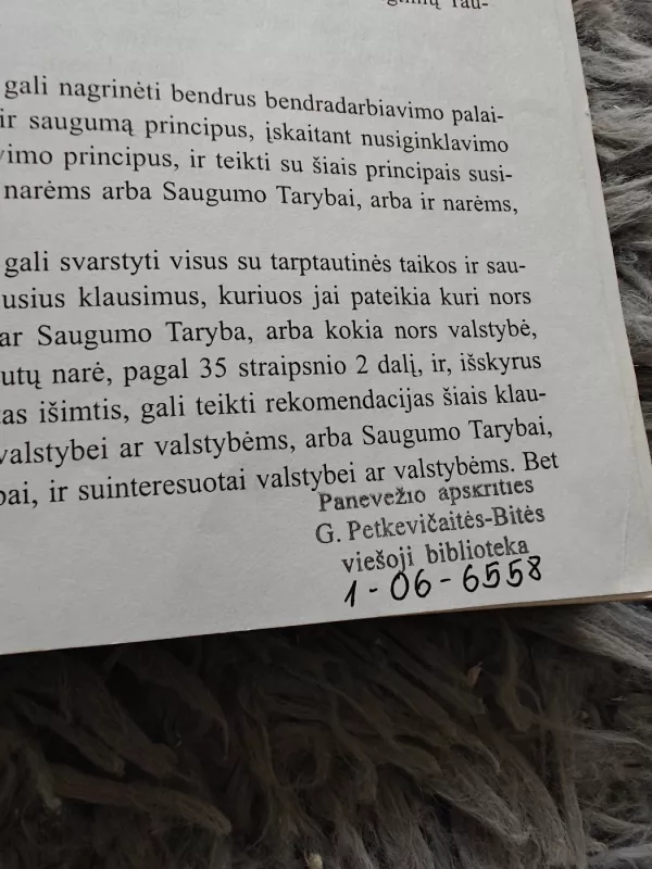 Tarptautinė teisė. Pagrindiniai dokumentai ir jurisprudencija - Vilenas Vadapalas, knyga 4