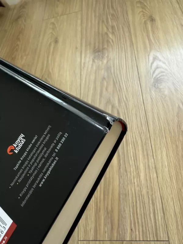 Dinos knyga - Herbjørg Wassmo, knyga 6