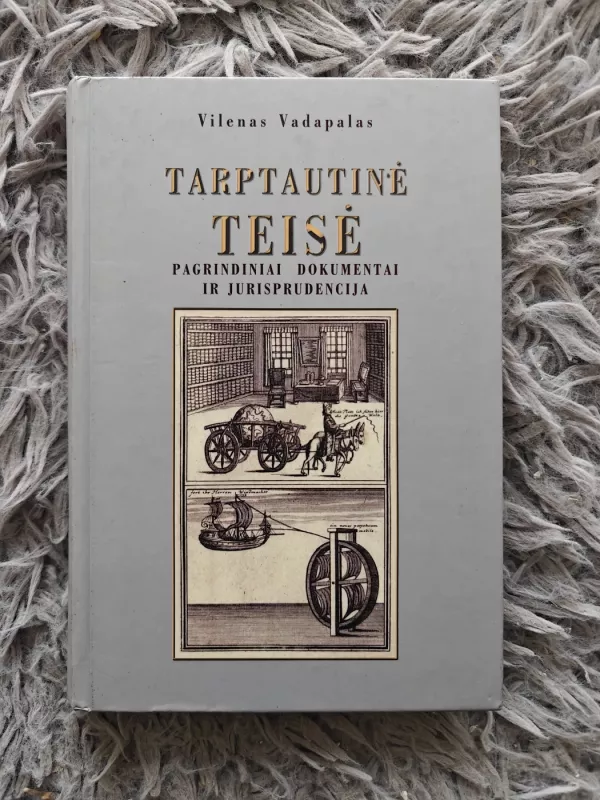 Tarptautinė teisė. Pagrindiniai dokumentai ir jurisprudencija - Vilenas Vadapalas, knyga 2