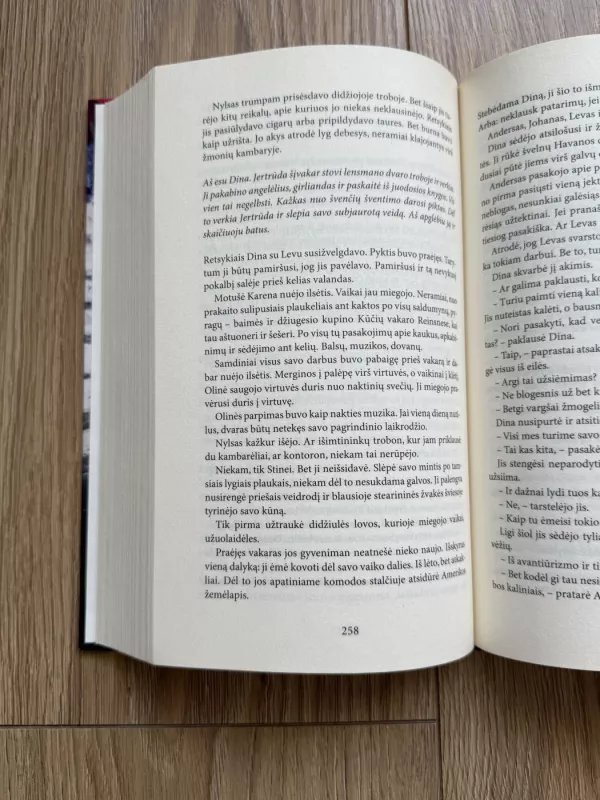 Dinos knyga - Herbjørg Wassmo, knyga 5