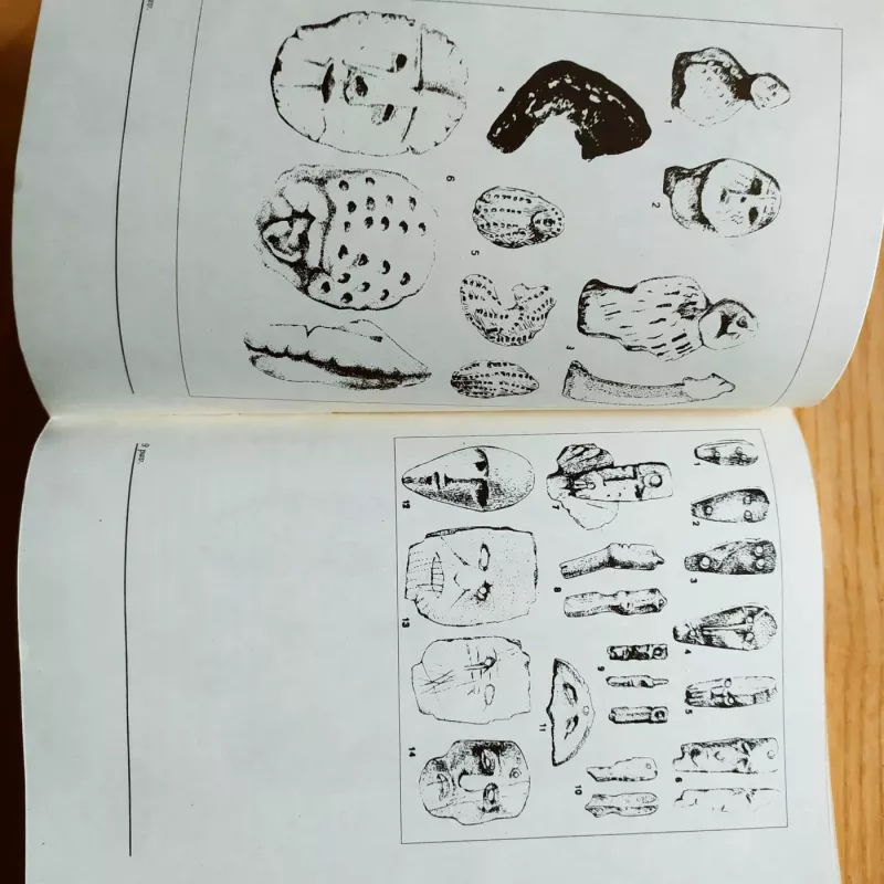 Budrių kaimas - Ignas Jablonskis, knyga 3