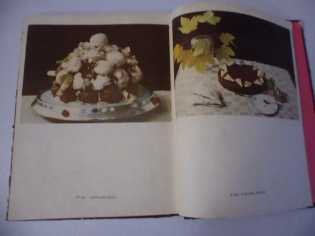 Kepiniai - E. Binkauskienė, knyga 5