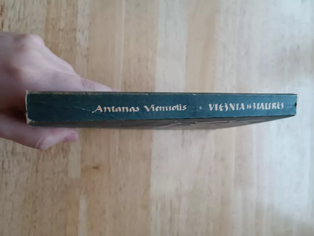 Viešnia iš Šiaurės - Antanas Vienuolis, knyga 3