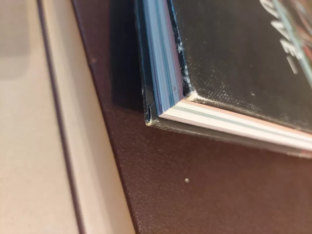 Aš, Tu ir virtuvė - Deivydas Praspaliauskas, knyga 4