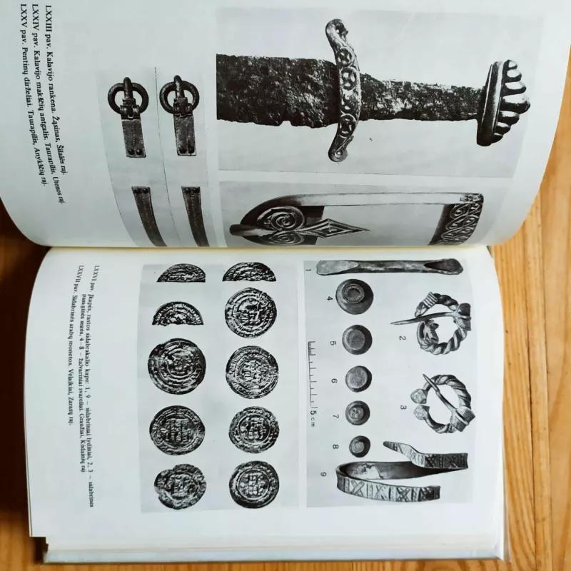 Sidabras senovės Lietuvoje - L. Vaitkunskienė, knyga 5