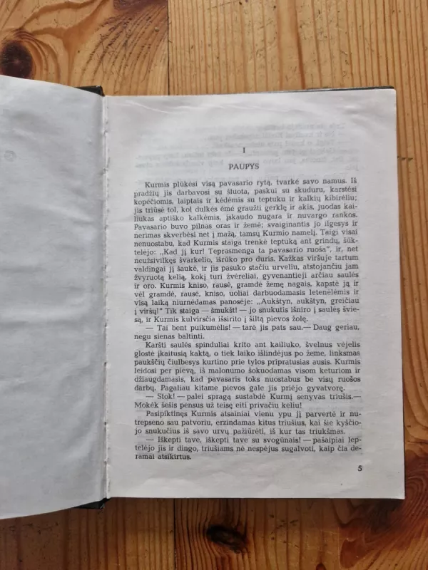 Vejas gluosniuose - Kenneth Grahame, knyga 3