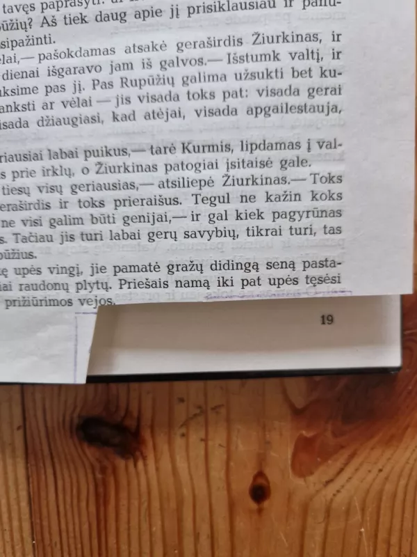 Vejas gluosniuose - Kenneth Grahame, knyga 4