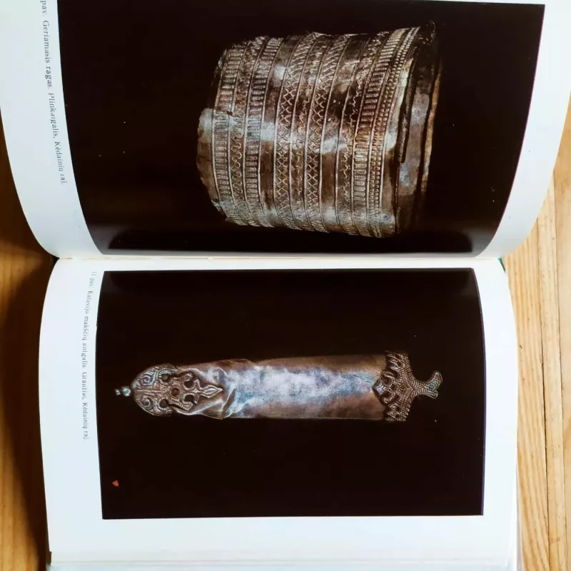 Sidabras senovės Lietuvoje - L. Vaitkunskienė, knyga 4