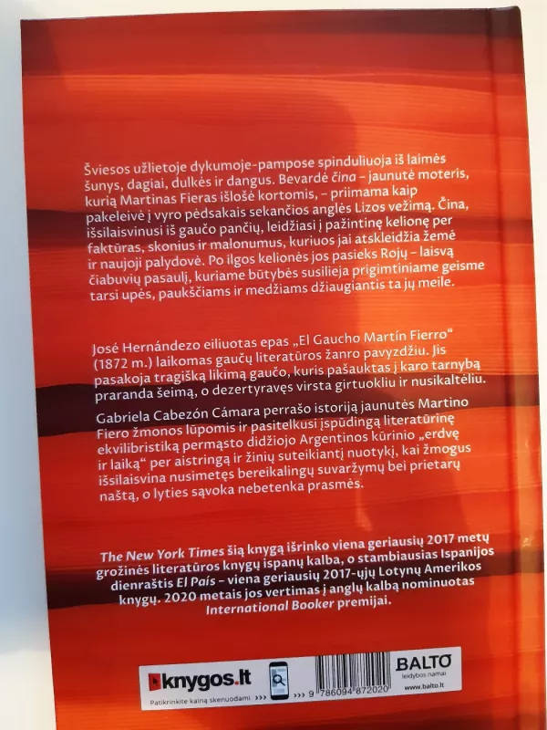 ČINOS AIRON KELIONĖS - Gabriela Cabezón Cámara, knyga 3