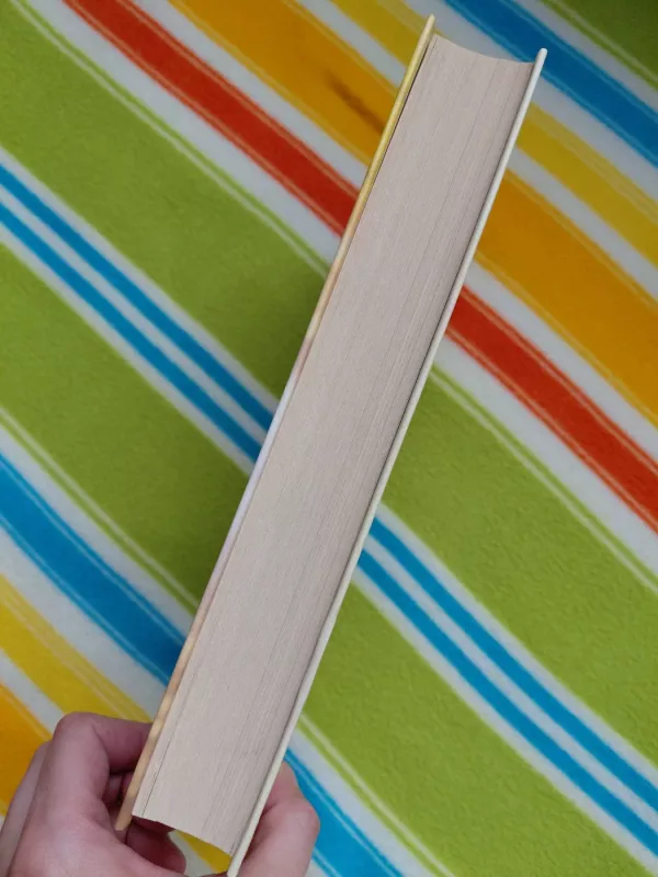 Nepažįstamoji iš Paryžiaus : romanas - Santa Montefiore, knyga 3