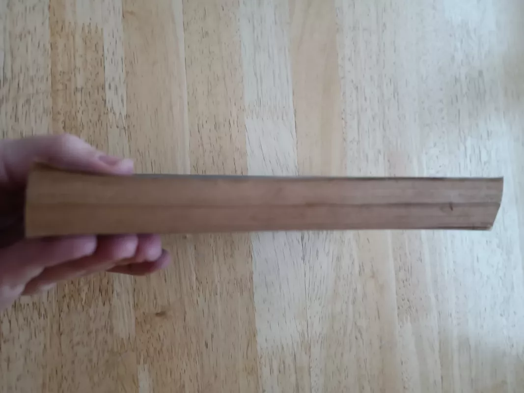 Viešnia iš Šiaurės - Antanas Vienuolis, knyga 4