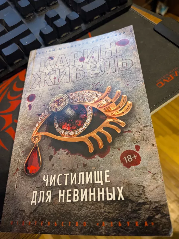 Chistilishe dla nevinnich - Karin Žibel, knyga 2