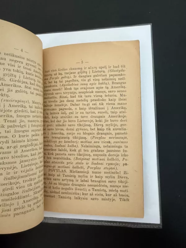 Paklydėlio Kelias - Vystanti Šakelė, knyga 4