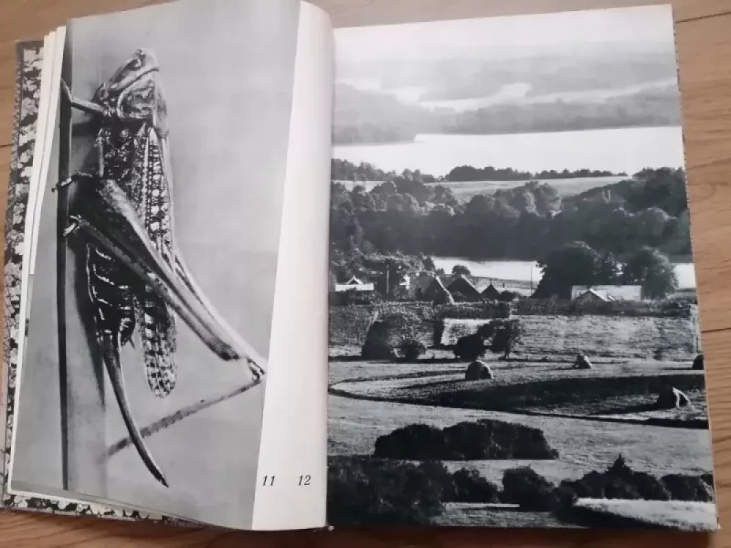 Šalis ta Lietuva vadinas - Romualdas Rakauskas, knyga 4