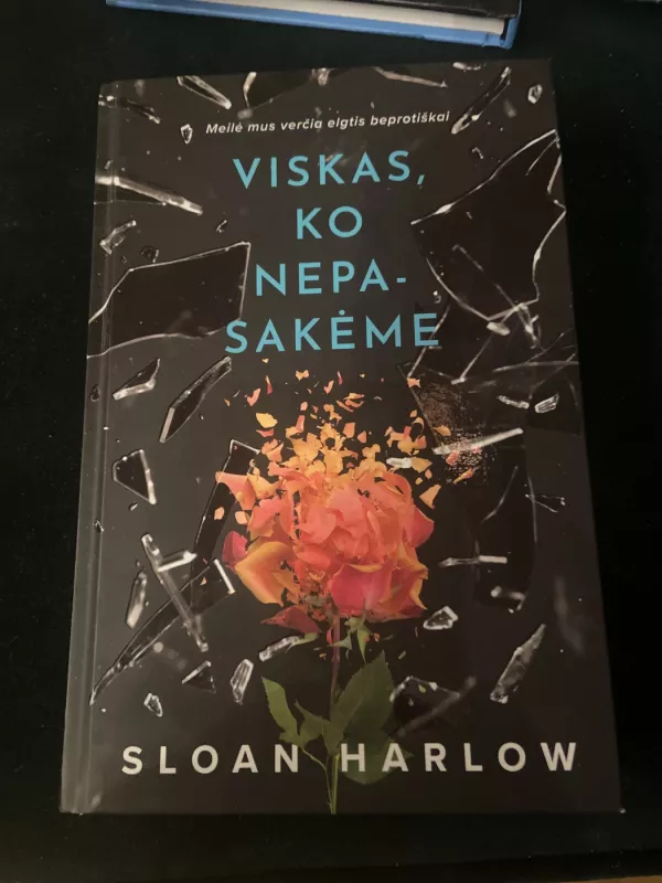 Viskas, ko nepasakėme - Sloan Harlow, knyga 3