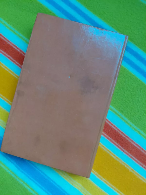 Karalienė Margo - Aleksandras Diuma, knyga 3