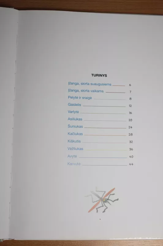 Plastilino paslaptys. Naminiai gyvūnėliai - Ronis Orenas, knyga 4