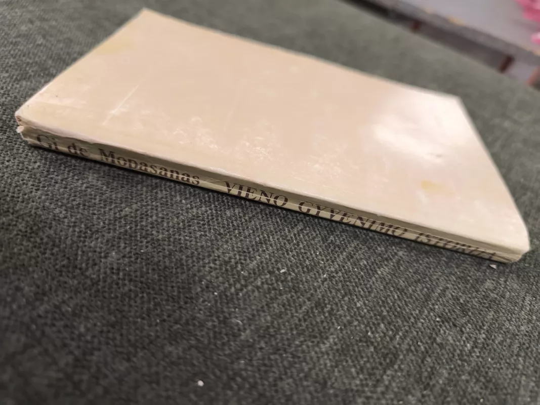 Vieno gyvenimo istorija - Gi De Mopasanas, knyga 3