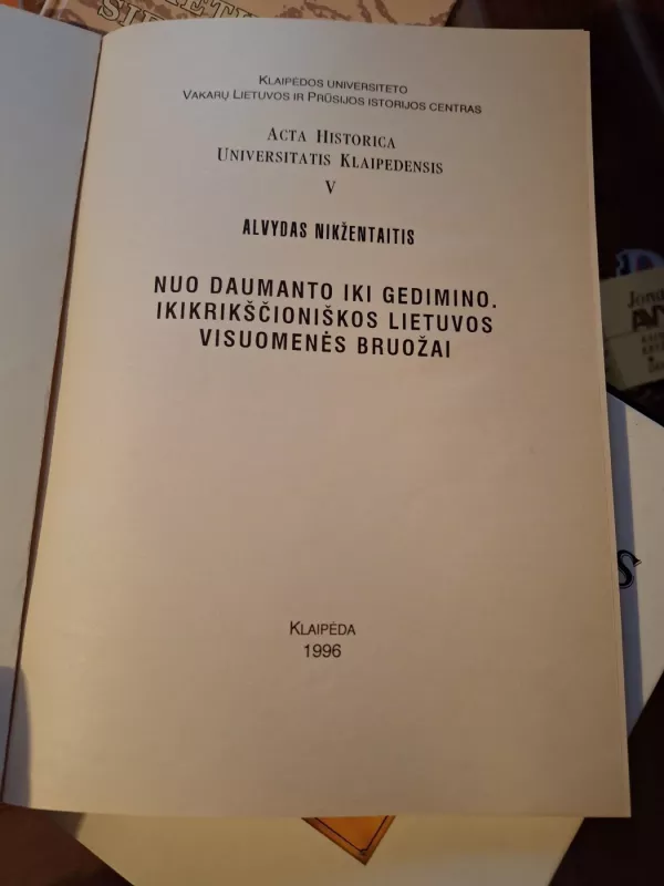 Nuo Daumanto iki Gedimino. Ikikrikščioniškos Lietuvos visuomenės bruožai - Alvydas Nikžentaitis, knyga 3