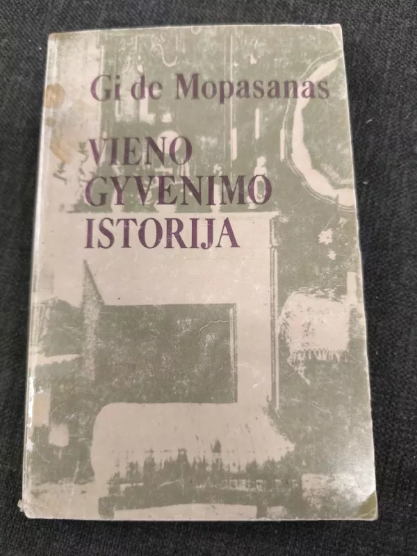 Vieno gyvenimo istorija - Gi De Mopasanas, knyga 2