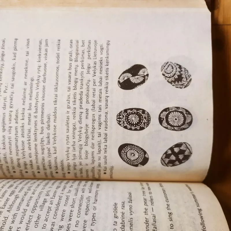 Lietuvių papročiai ir tradicijos - Danutė Brazytė Bindokienė, knyga 5