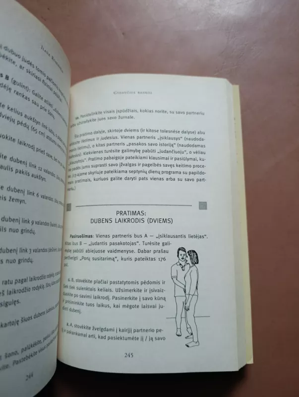 Gydančios rankos - Ilana Rubenfeld, knyga 6