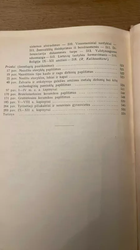 Lietuvos archeologijos bruožai - P. Kulikauskas, R.  Kulikauskienė, A.  Tautavičius, knyga 6